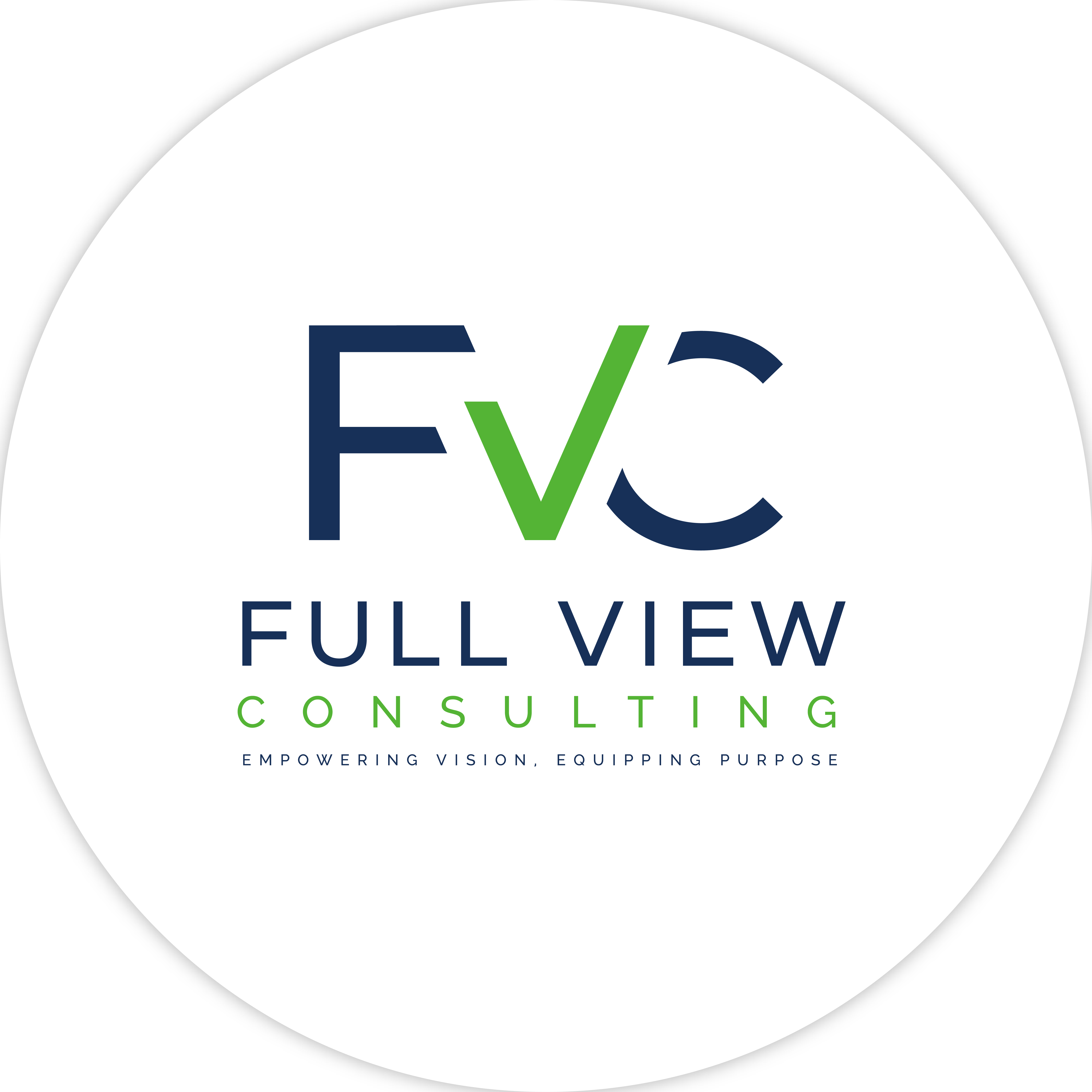 Full View Consulting